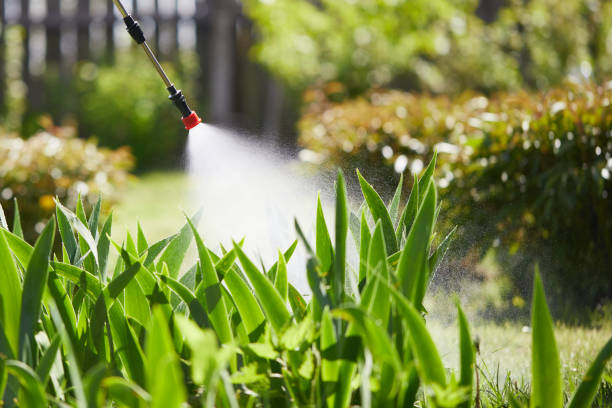 Tamper-Resistant Bait Stations for Rodents in Etowah