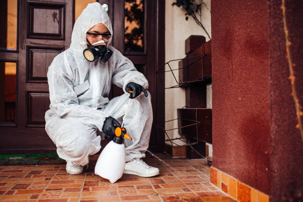 Attic and Crawl Space Rodent Treatment in Etowah