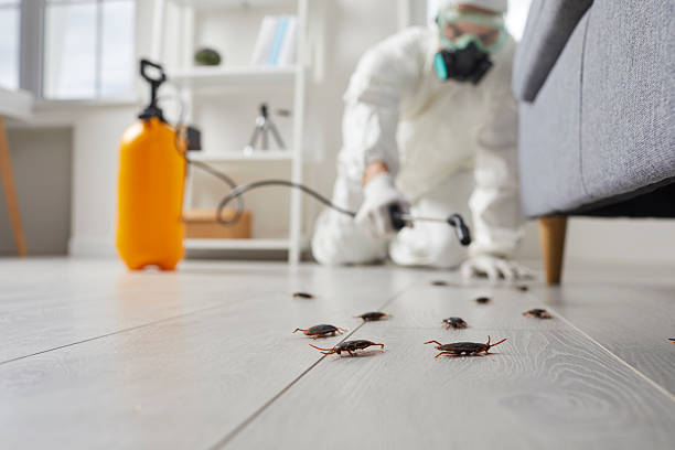 Commercial Rodent Management in Etowah